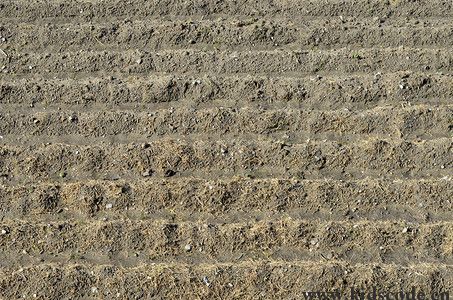 scratch作品_建个农场2.5.0